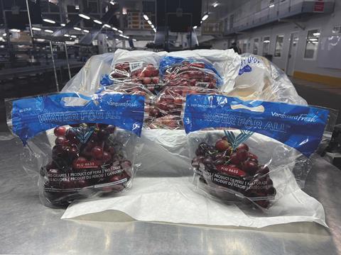 Vanguard grapes