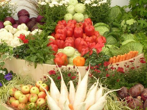Obst__Gemüse-Mix_schön_19.jpg