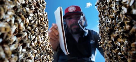 Brandon-Hopkins-putting-food-in-hive-1536x706