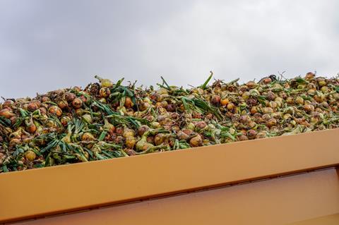 AGP grades around 1,200 tonnes of onions a week
