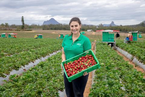 Rebecca scurr Piñata Farms strawberry brand refresh