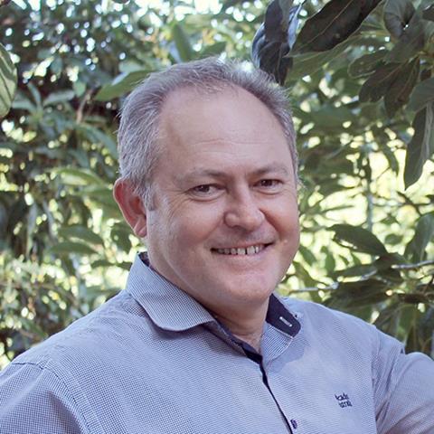 John Tyas, Avocados Australia