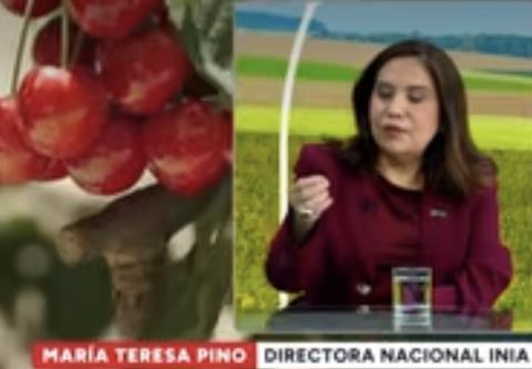 Maria Teresa Pinos, Inia