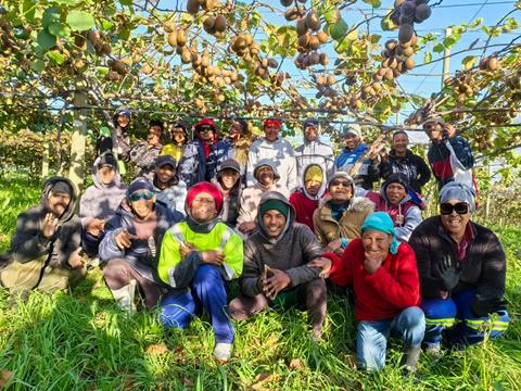 Jingold workers South Africa harvest