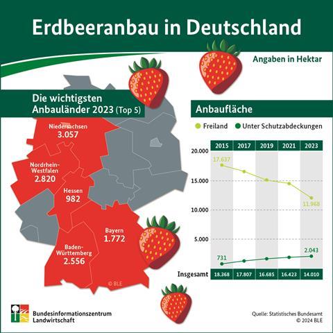 Infografik Erdbeeranbau 2023 in Deutschland