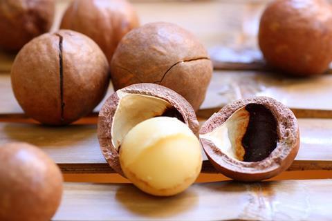 Macadamias in der Schale