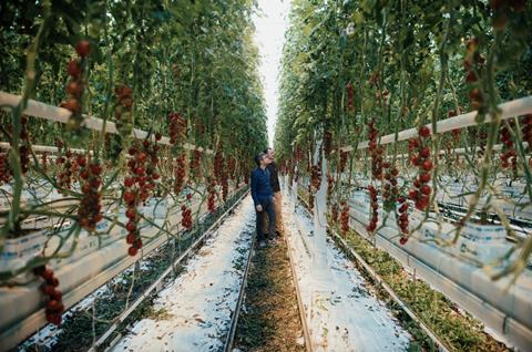 NL Source co-founders