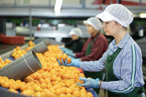 Inspecting and sorting soft citrus on packing line Adobe Stock