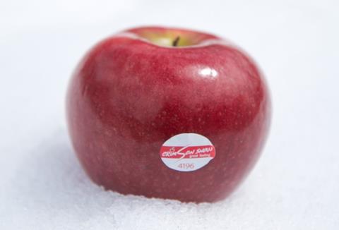 Crimson Snow apple