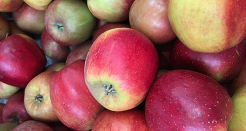 NL apples Jumbo Foodmarkt