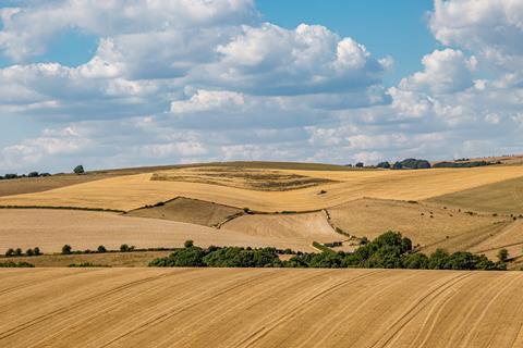 UK drought