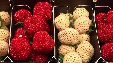 NL pineberries strawberries Beekers