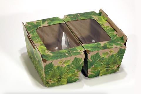 SoFruMiniPak 500 EV+ grape leaves packaging