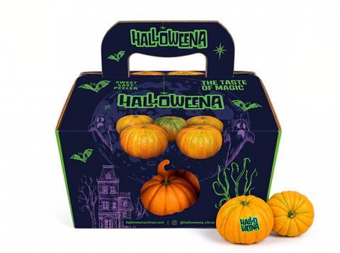 HALLOWEENA trick and treat pack
