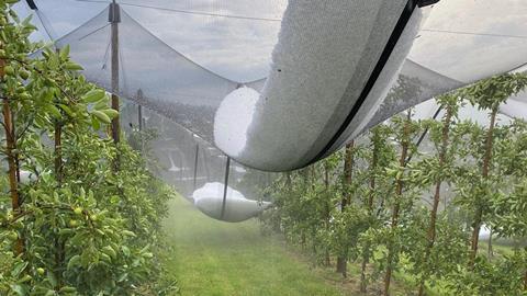Hail Switzerland August 2026