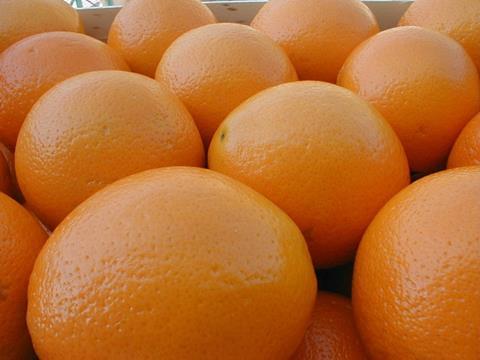 Orangen aus Spanien
