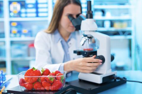 Fruit inspection testing strawberries Adobe Stock