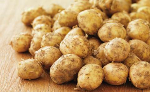 Jersey potatoes clearance season