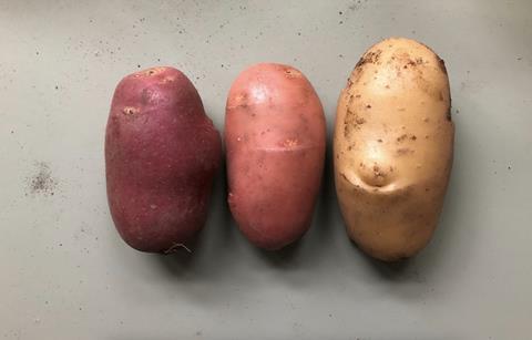 KeyGene skin transplant potatoes 2025