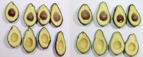 Untreated vs treated AgroSustain avocados after six days at room temperature