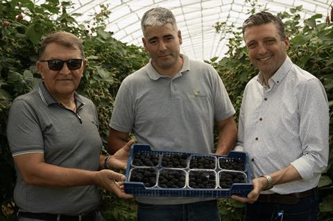 Nebojsa Momirovic (Zeleni Hit) Radosav Rakovic (Fito Mineral) Jamie Petchell (GPG)