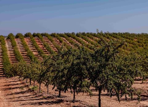Sustainable EU Almond 4