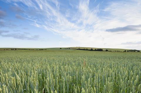 Organic farming on the rise in UK