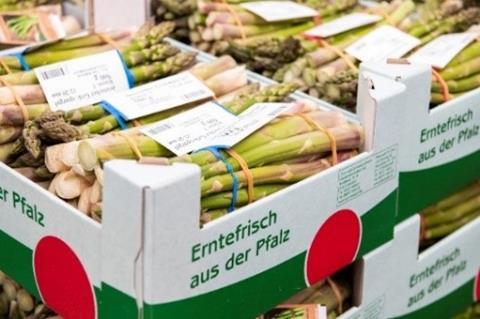 Grüner Spargel der Pfalzmarkt eG