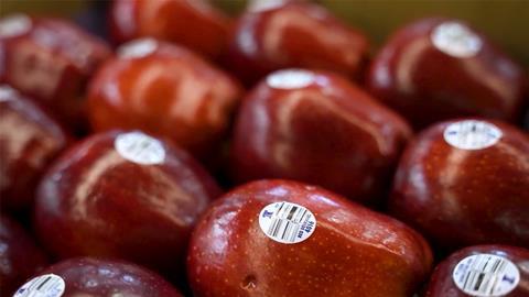 Sinclair Wash fruit apples