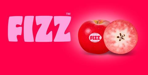 FIZZ_Hero_image-plant and food research-prevar