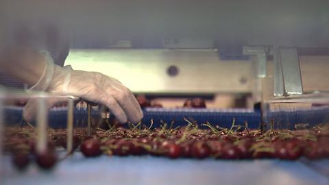 Quality checks on cherries