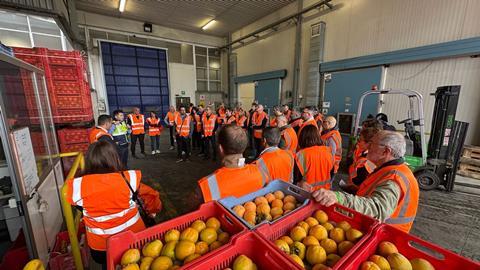 Kaki Day Federico Cavassi Agrintesa Faenza packhouse persimmons