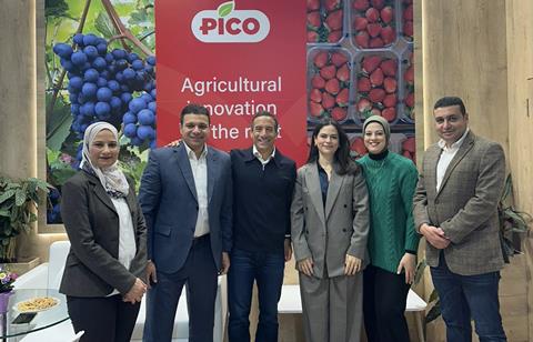 Pico team