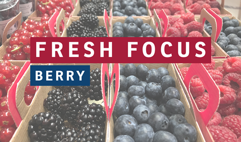 Fresh Focus Berry