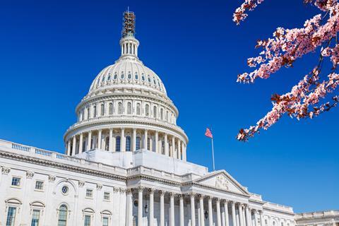 US Capitol cherry blossom