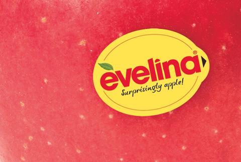 Evelina detail