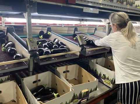 BE Stannuco aubergine packing