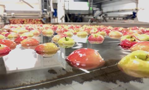 Apples in water