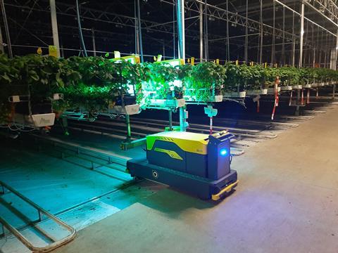 VLAM UV-C robot in the greenhouse