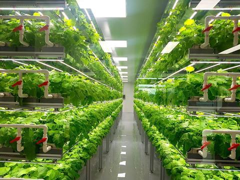 WayBeyond Agritecture CEA Vertical Farm - shutterstock_1267972462