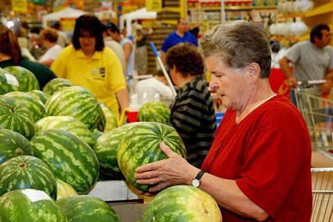 Ungarn: Neue Melonen-Sorten und Anbautechnologien im Fokus