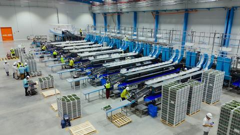 Olmos Packing and Cold Chain Logistics - Maersk1