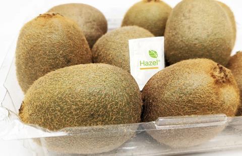 Hazel kiwifruit