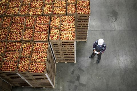 Apples packed for export in storage facility