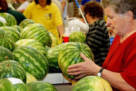 Ungarn Melonen