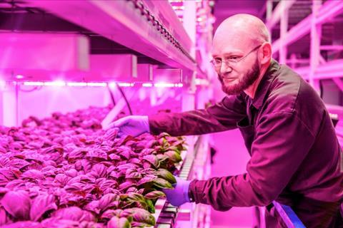 US NL Green Sense Farms Philips vertical farm LED lighting