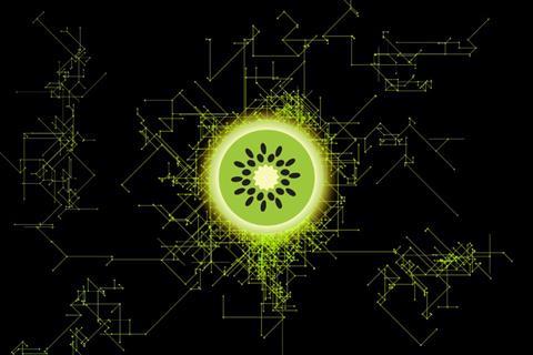 Bitcoin Kiwifruit