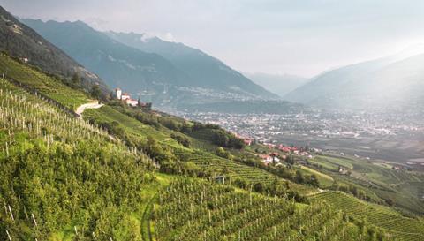 Vog South Tyrol orchard