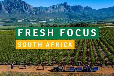 Fresh Focus South Africa 2025