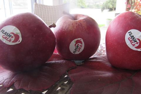 Flash Gala apples South Africa label closeup